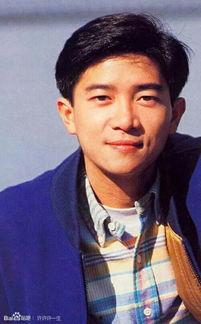 陈百强八卦爆料视频大全,视频大全背后的惊人真相